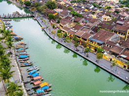 Top 5 đại lý giao nước Vihawa tại Quảng Nam
