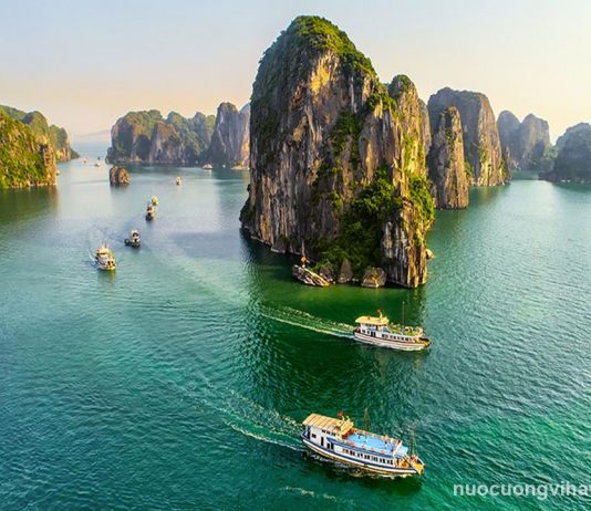 Top 5 đại lý giao nước Vihawa tại Quảng Ninh