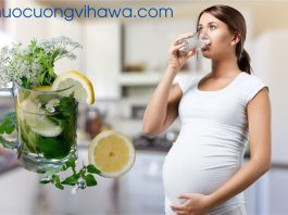 Uống nước chanh có tốt cho thai kì của mẹ bầu